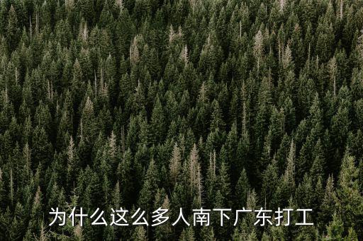 為什么這么多人南下廣東打工