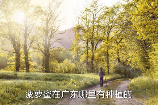 菠蘿蜜在廣東哪里有種植的