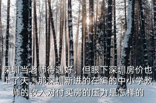 深圳交通學校怎么樣,深圳當老師待遇好