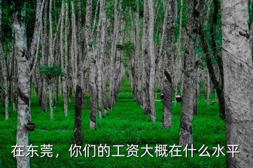 在廣東東莞打工工資有多少,有多少人在東莞打工