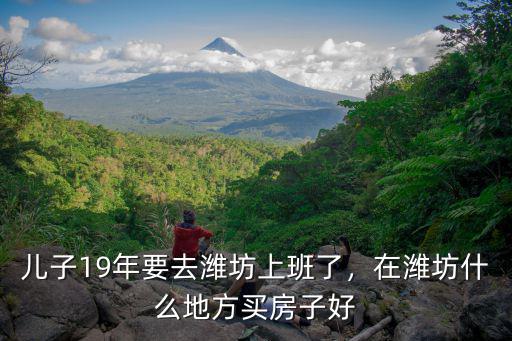 兒子19年要去濰坊上班了，在濰坊什么地方買房子好