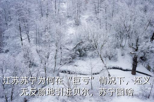 江蘇蘇寧為何在“巨虧”情況下，還義無反顧地引進貝爾，蘇寧圖啥