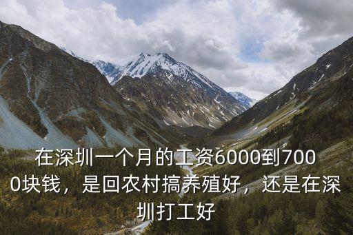 深圳飯店打工工資多少,還是在深圳打工好