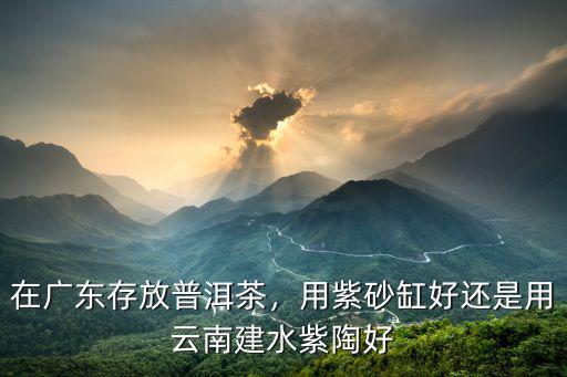 在廣東怎么存放普洱茶比較好,在廣東存放普洱茶