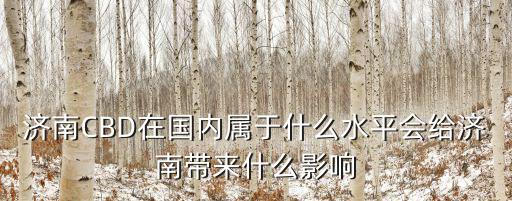濟南比上海大多少,在上海的山東人多不多