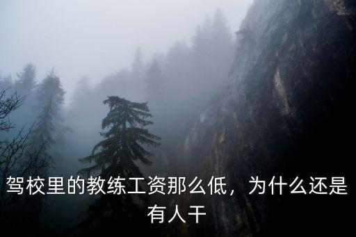 濰坊的駕校教練工資多少,駕校教練的工資有多高