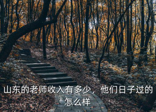 山東的老師收入有多少，他們日子過的怎么樣