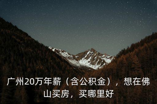 想在佛山買房哪里買好,想在佛山買房定居