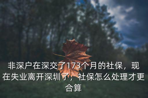 非深戶(hù)在深交了173個(gè)月的社保，現(xiàn)在失業(yè)離開(kāi)深圳了，社保怎么處理才更合算