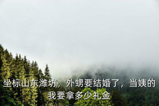 濰坊九山彩禮一般多少,濰坊的彩禮標準是多少