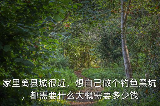 泰安釣魚黑坑多少錢,大概需要多少錢