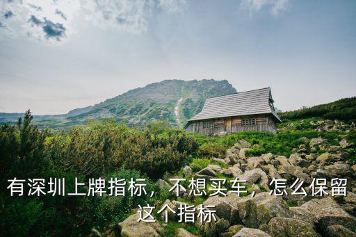 有深圳上牌指標，不想買車，怎么保留這個指標