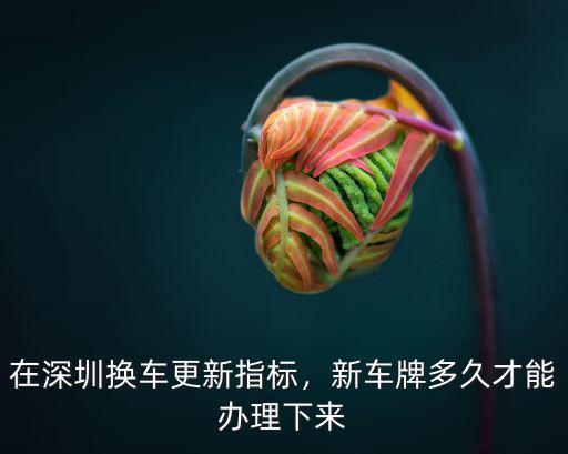 在深圳換車更新指標(biāo)，新車牌多久才能辦理下來