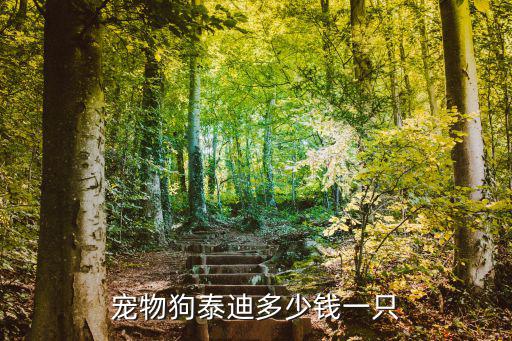 泰迪狗多少錢一只淄博市,寵物狗泰迪多少錢一只