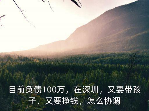 深圳商人負(fù)債多少,在深圳生活的你有多少負(fù)債
