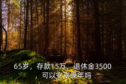 梅州65歲退休金多少,退休金3500