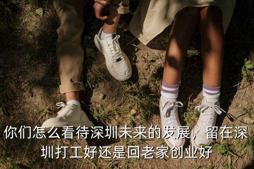 你們怎么看待深圳未來的發展，留在深圳打工好還是回老家創業好
