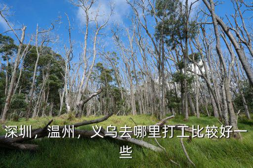 許華升在深圳哪里打工,在深圳打工是一種怎樣的體驗