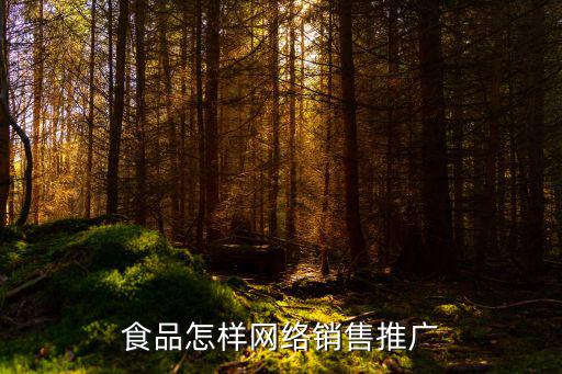 揭陽食品網絡推廣該怎么做,食品公司如何做網絡推廣