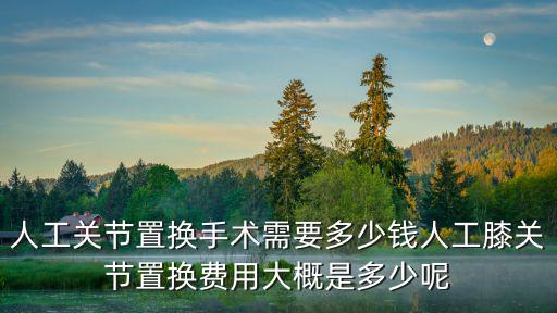 南京鼓樓人工髖關節置換多少錢,人工關節置換手術需要多少錢