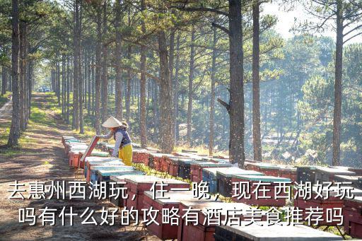 惠州西湖麗日在哪里,去惠州西湖玩