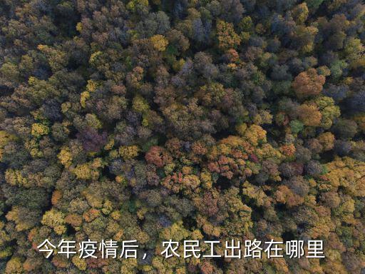 農民工留在廣州哪里好,農民工出路在哪里