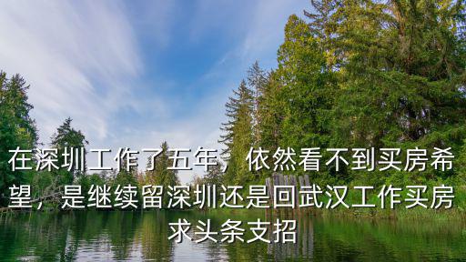 長期在深圳怎么買房,一定要計劃在深圳買房么