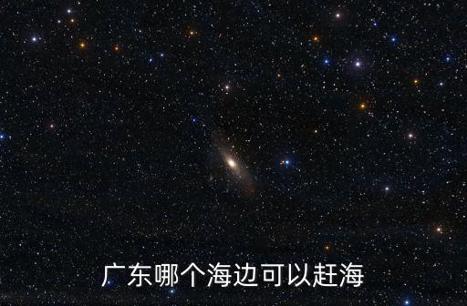 廣東沿海哪里可以捉海鮮,出海捕撈海鮮