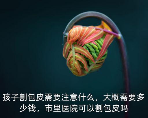 濟寧割包皮一般多少錢,割包皮總共多少錢
