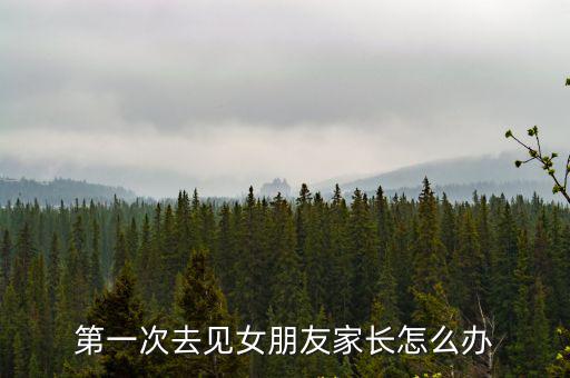 第一次去見女朋友家長怎么辦