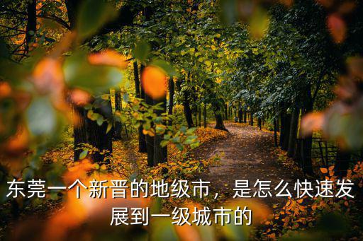 東莞怎么發展一級城市,東莞能否成為一線城市