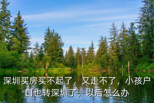 深圳幼兒園不買房怎么辦,深圳買房買不起了