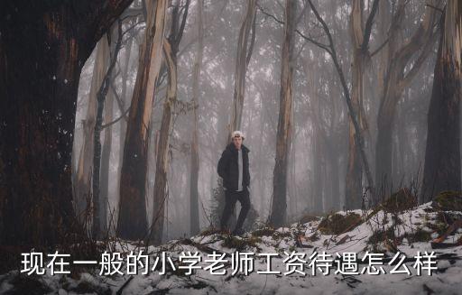 現(xiàn)在一般的小學(xué)老師工資待遇怎么樣