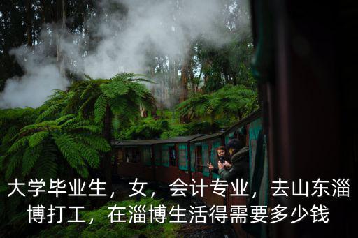 大學(xué)畢業(yè)生，女，會(huì)計(jì)專(zhuān)業(yè)，去山東淄博打工，在淄博生活得需要多少錢(qián)
