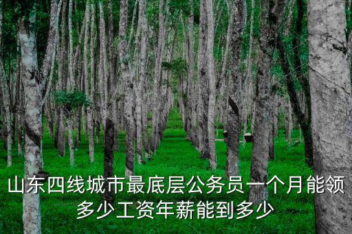 山東四線城市最底層公務員一個月能領多少工資年薪能到多少