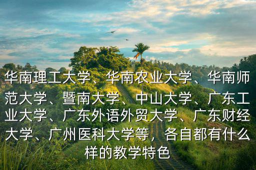 華南理工大學、華南農業大學、華南師范大學、暨南大學、中山大學、廣東工業大學、廣東外語外貿大學、廣東財經大學、廣州醫科大學等，各自都有什么樣的教學特色