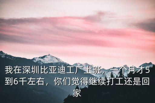 深圳比亞迪采購薪資多少,深圳比亞迪工資