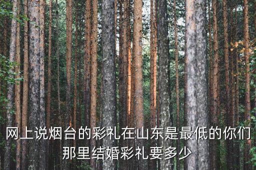 網上說煙臺的彩禮在山東是最低的你們那里結婚彩禮要多少