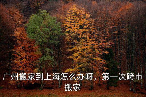 廣州怎么選跨市搬遷,第一次跨市搬家