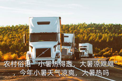農村俗語“小暑熱得透，大暑涼颼颼”，今年小暑天氣涼爽，大暑熱嗎