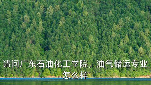 廣東油氣質量怎么樣,請問廣東石油化工學院