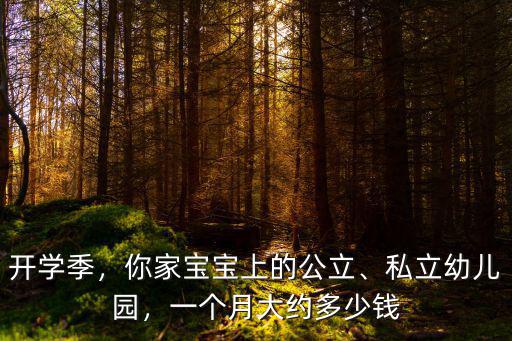 深圳坪山中心幼兒園學費多少錢一個月,你那邊的幼兒園一個月多少錢