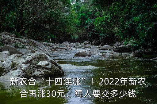 珠海市的新農(nóng)合每年交多少錢,新農(nóng)合十四連漲