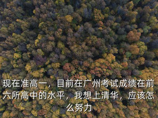 現在準高一，目前在廣州考試成績在前六所高中的水平，我想上清華，應該怎么努力