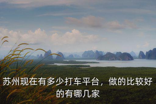 蘇州現在有多少打車平臺，做的比較好的有哪幾家