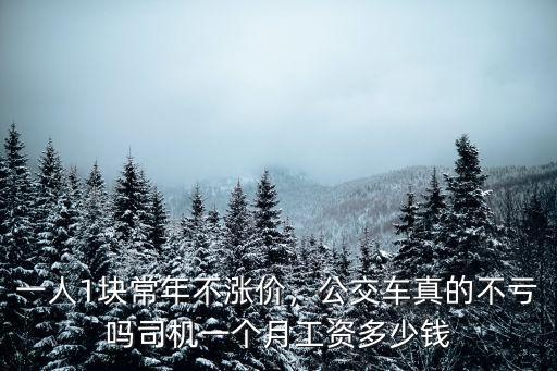 一人1塊常年不漲價，公交車真的不虧嗎司機一個月工資多少錢