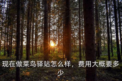 現在做菜鳥驛站怎么樣，費用大概要多少