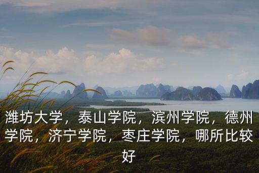 濰坊大學，泰山學院，濱州學院，德州學院，濟寧學院，棗莊學院，哪所比較好