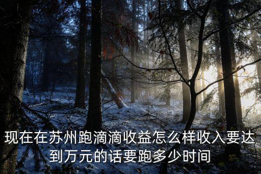蘇州每晚跑滴滴掙能多少錢,蘇州跑滴滴賺錢嗎