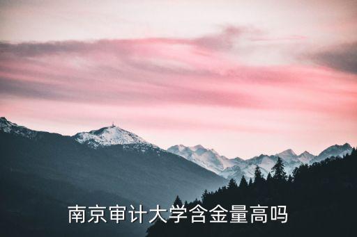 南京審計大學多少分能上,南京審計大學怎樣